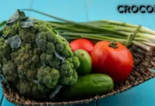 Crocolini