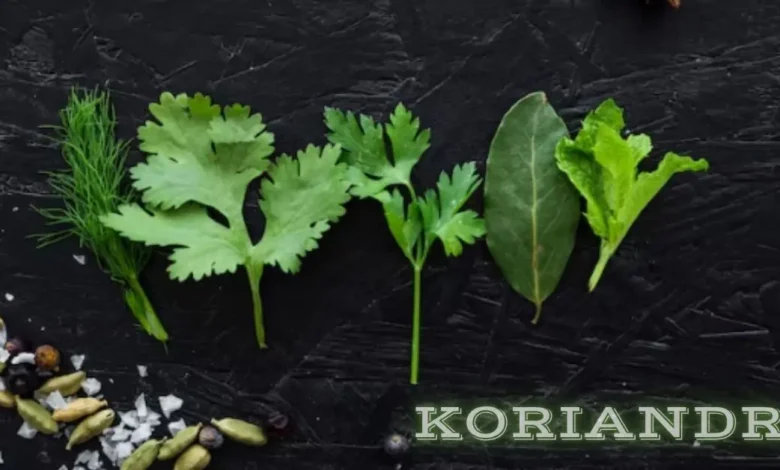 Koriandri